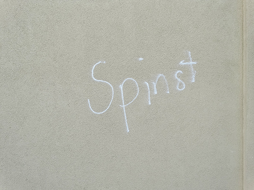 spinst